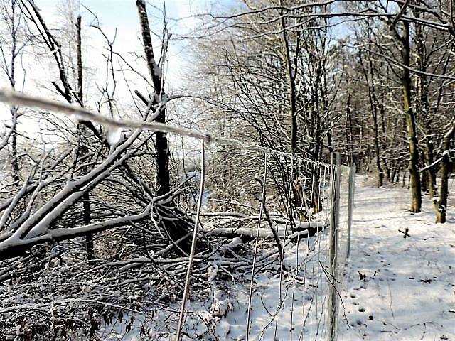 M+S Bauschuttdeponie bei Ktingen